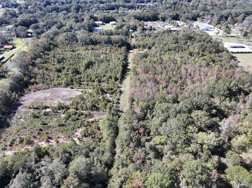 dji_fly_20251103_134256_0696_1762362214972_photo