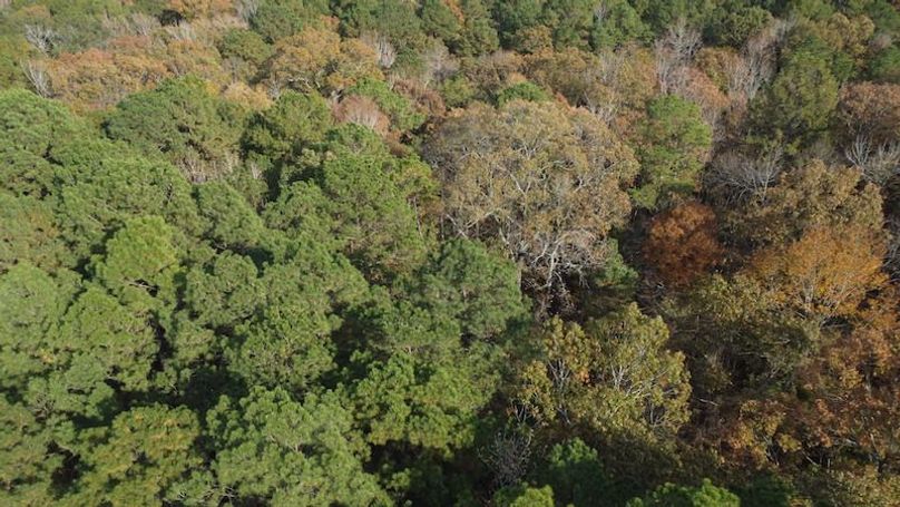 hot spring 1920251113_0385