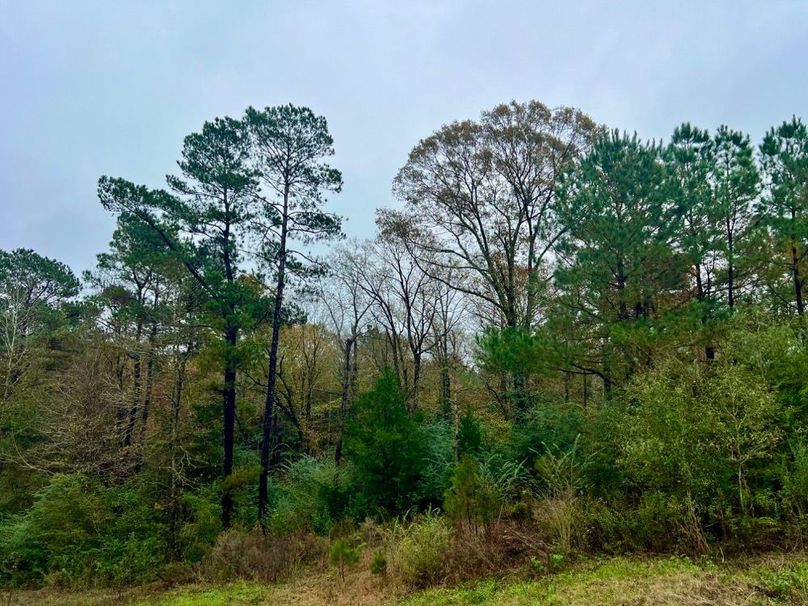 519767AF-AF1A-467C-BDF8-13F3E76A5C14_1_201_a