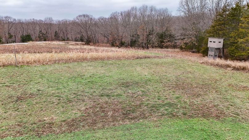 Copy of dji_fly_20251208_004252_0020_1765138826603_photo