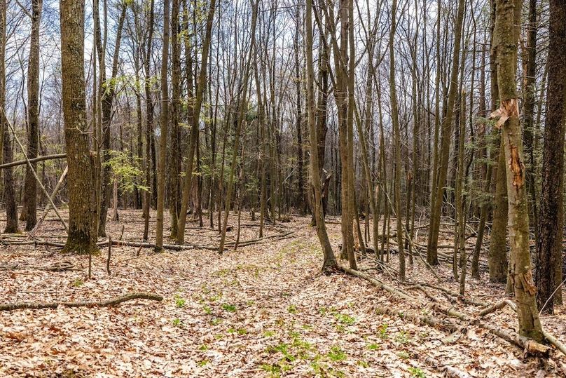 16-web-or-mls-IMG-16