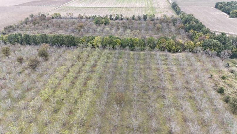 dji_fly_20251107_043106_0032_1762484042961_photo