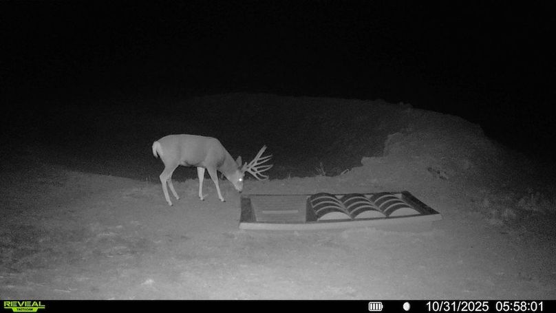 016578004267347-100-3-10312025130442-HD-SYFW00119