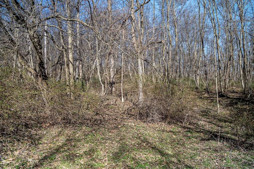 Jo Daviess IL 23.5_16