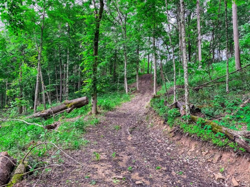 Wirt, WV 137.45 AC Full-38