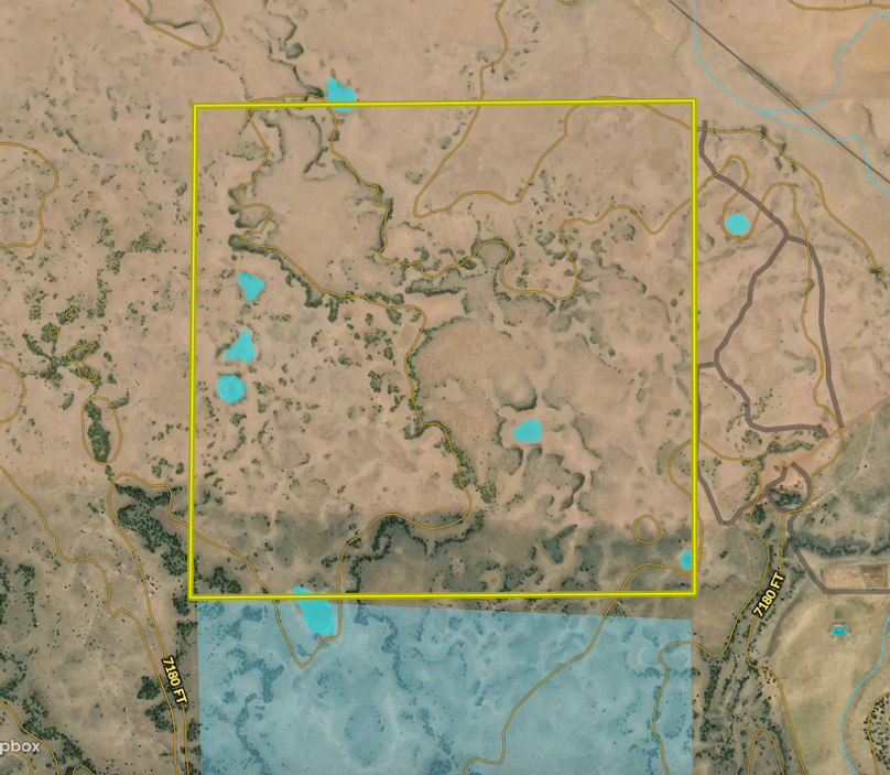 Screen Shot 2024-07-15 at 8.39.25 PM