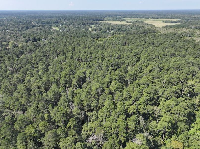 dji_fly_20250826_104220_0375_1756227536806_photo