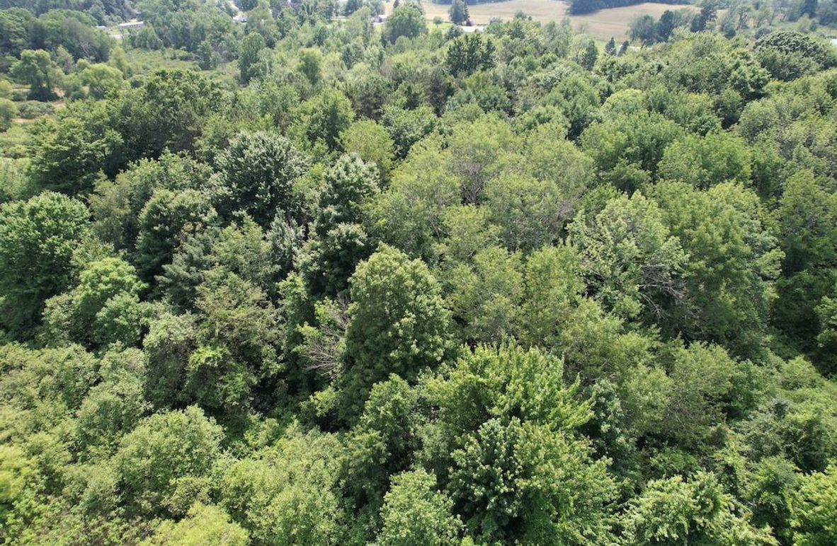 Oswego_13.95_Moore_Bush_Photos_5