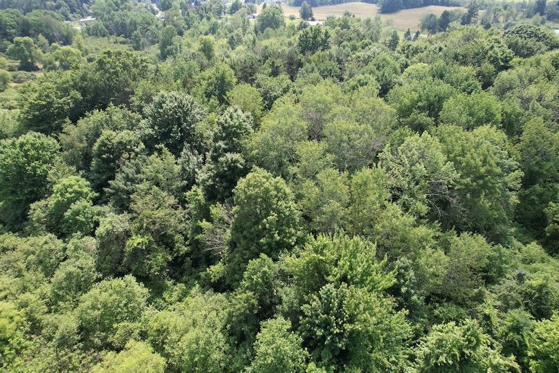 Oswego_13.95_Moore_Bush_Photos_5