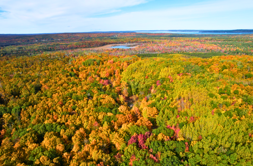 Screenshot 2025-11-11 at 12.58.46 PM