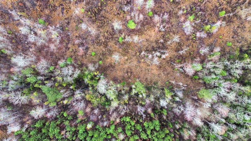 Kershaw 18 Belton-11