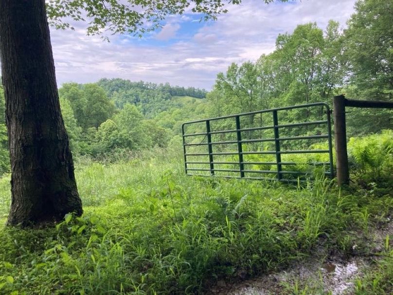 039 one of the upper pastures on the south side of the property