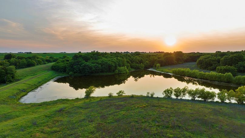 Harrison MO 480 Pro Photo_230 (16)