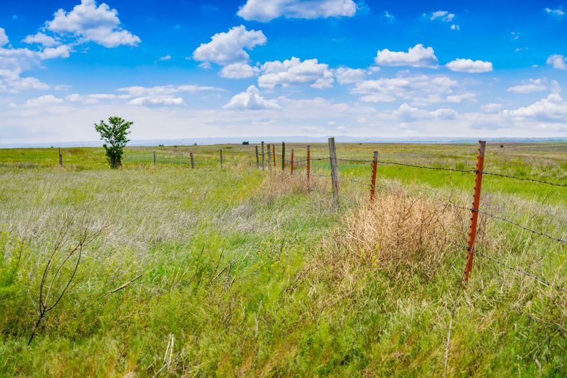 Comanche320_078 copy