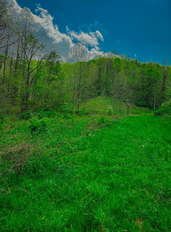 Doddridge, WV 64.69 AC Davis-03