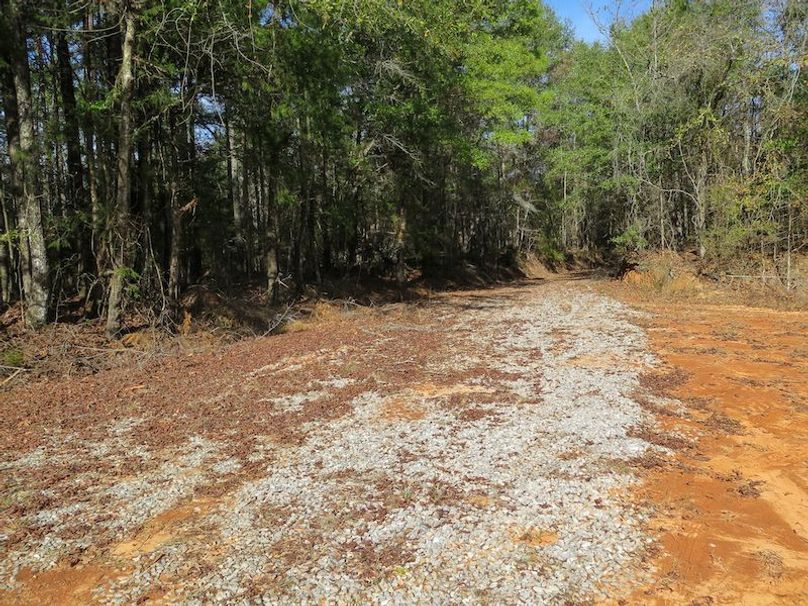 Lauderdale Co - 74 - Gillentine-22