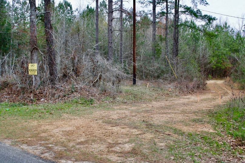 FCE14228-279F-4786-A796-5A803CDE0EA0_1_105_c