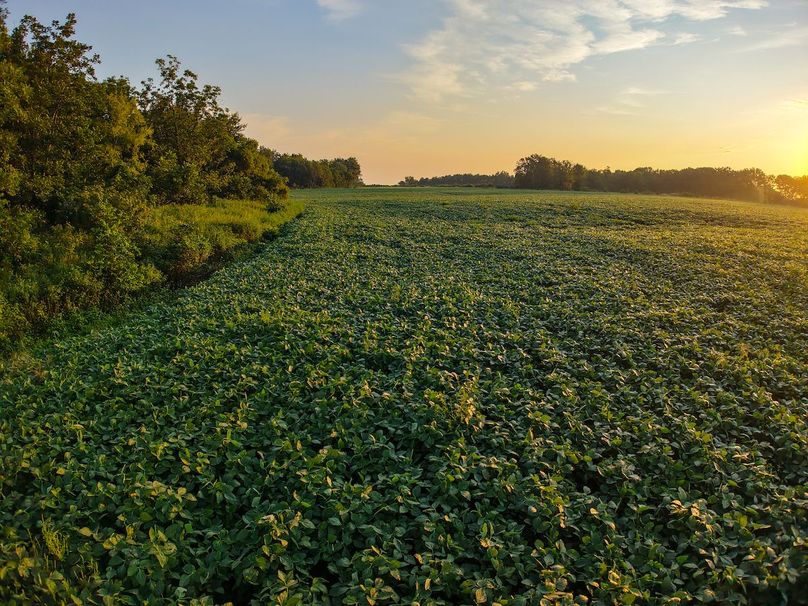 DJI_20250823071143_0927_D