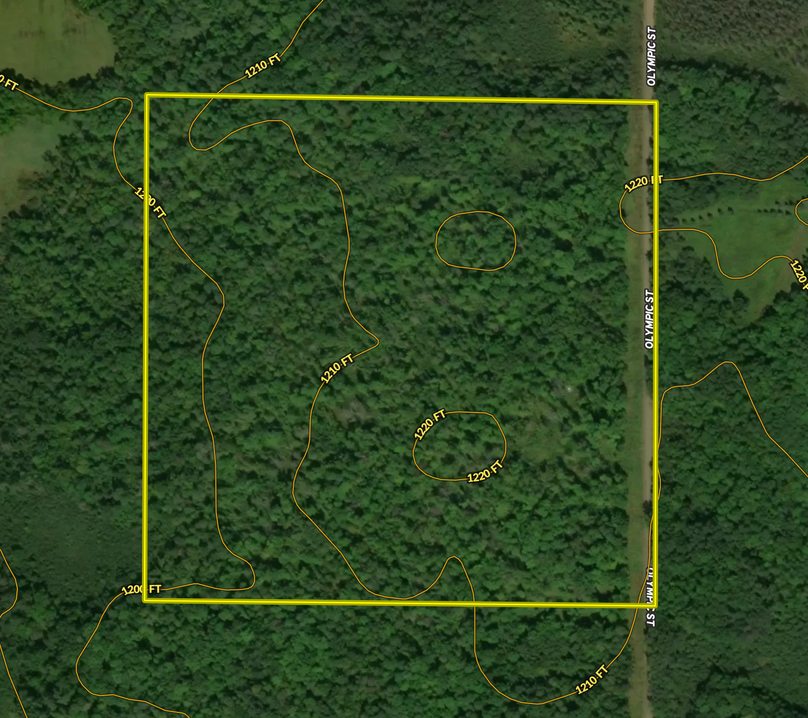 Screen Shot 2023-08-09 at 11.50.53 AM