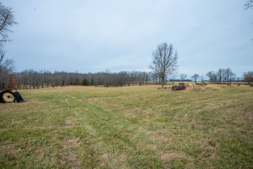 Copy of DSC00710 Large