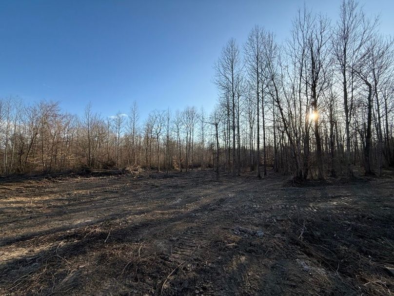 015 open clearing area as viewed from the entrance along Forge Mill Road