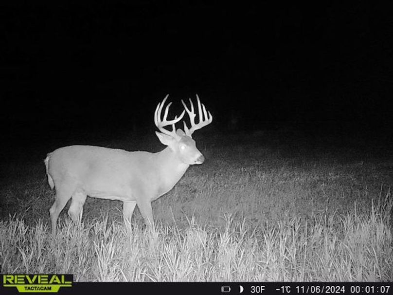 861641042572304-10-5-11062024000106-W1004910