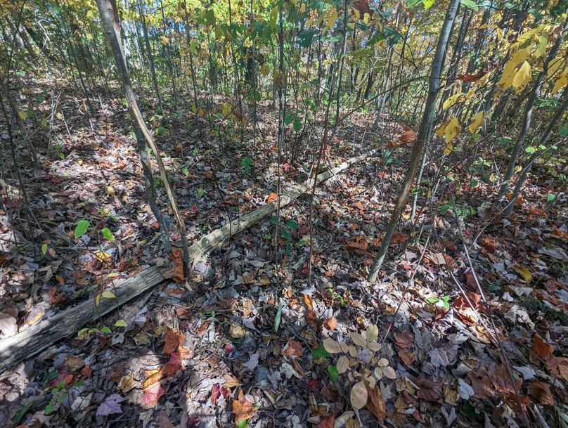 PXL_20231004_170653550