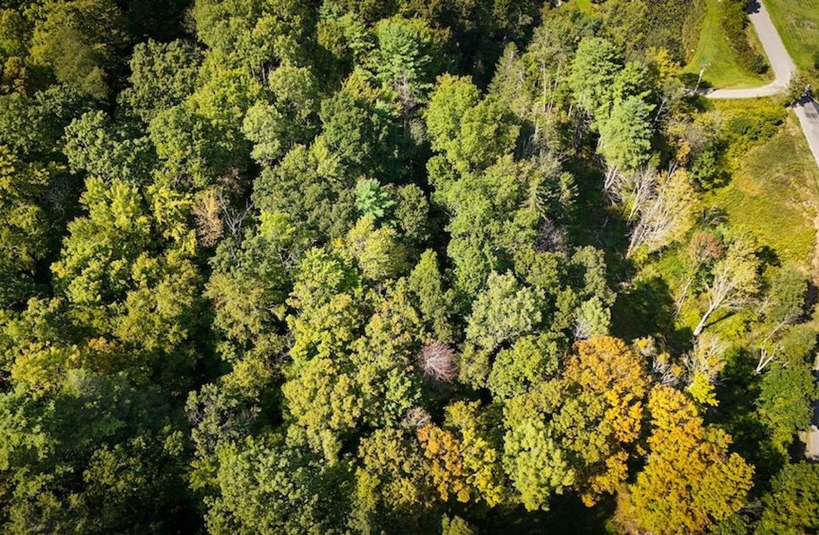 DJI_20250909145248_0482_D