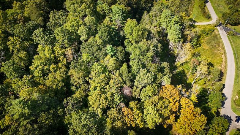 DJI_20250909145248_0482_D