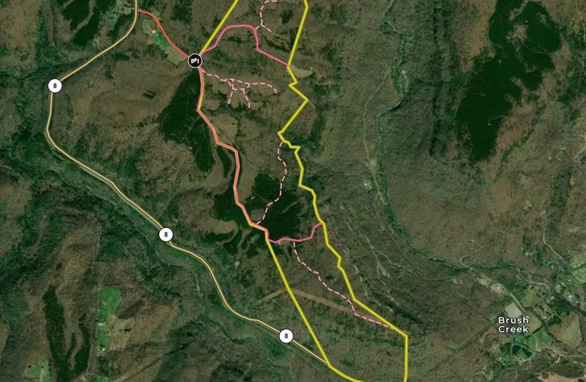 Screenshot 2024-08-12 at 10.58.59 AM