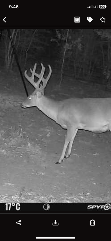 New Trail Cam 5
