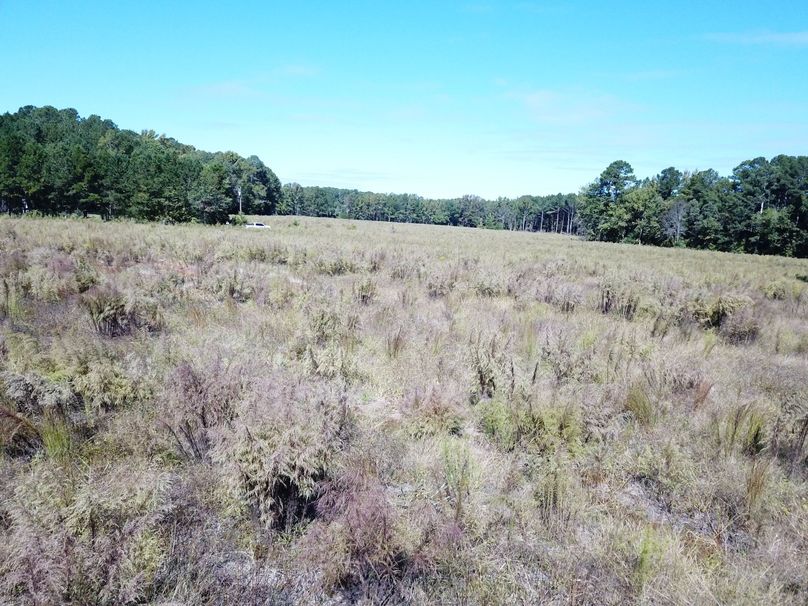 Copy of DJI_0024