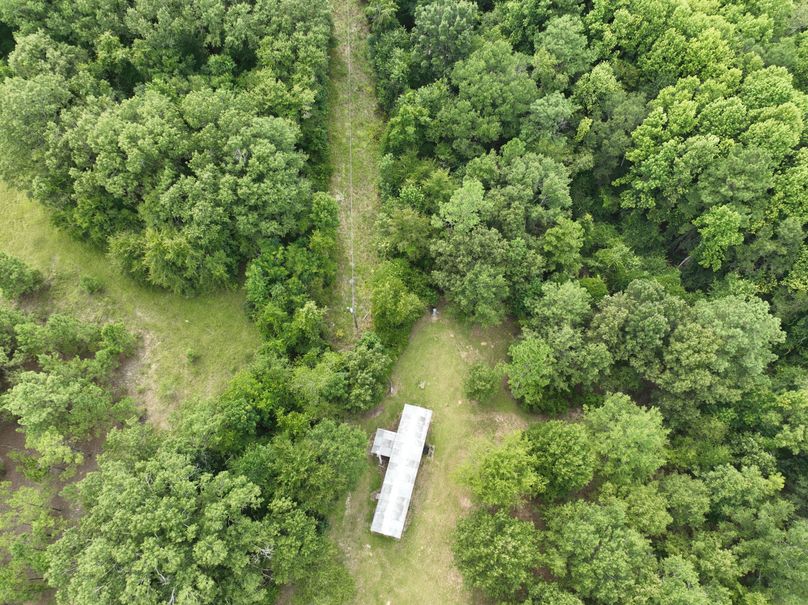 dji_fly_20230727_170010_382_1690507717959_photo 3