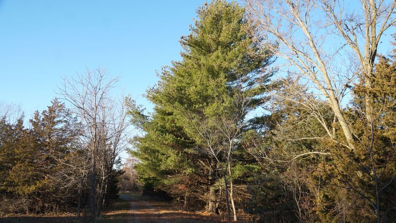 DSC02619