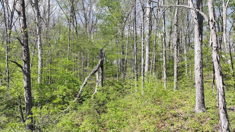 dji_fly_20260423_164112_0256_1776977090703_photo