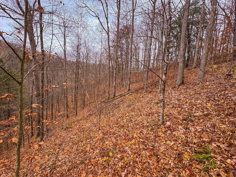 Ritchie, WV 15.5 AC Harper-11