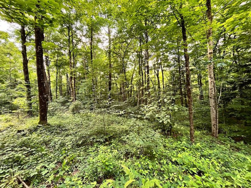 Oswego_133.72_Middleton_Photos_54