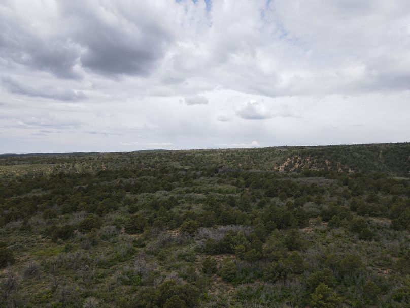 dji_export_1685968225451