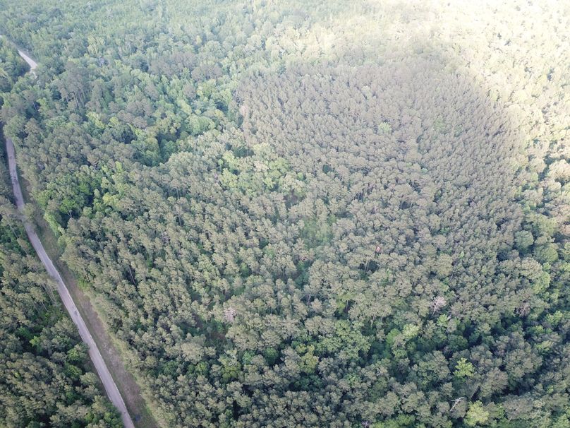 DJI_0633