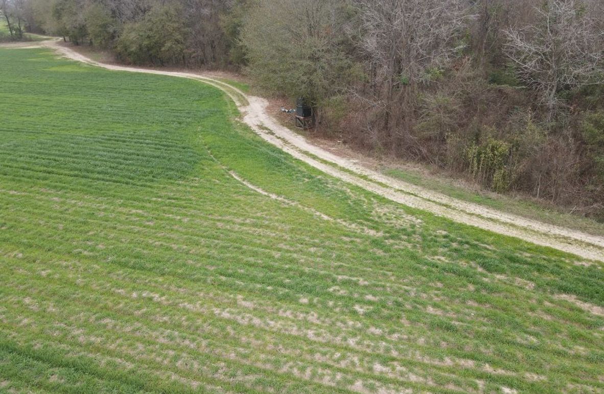 dji_fly_20260106_103622_778_1767987388844_photo