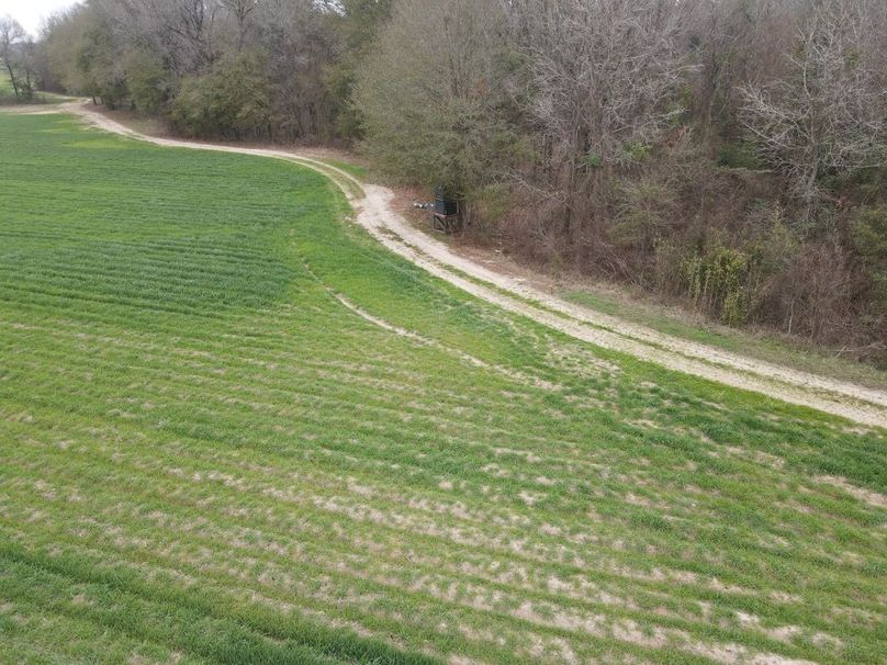 dji_fly_20260106_103622_778_1767987388844_photo