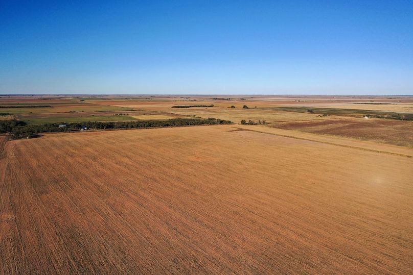 org_ed4d24dc4d2054c4_1762731014000