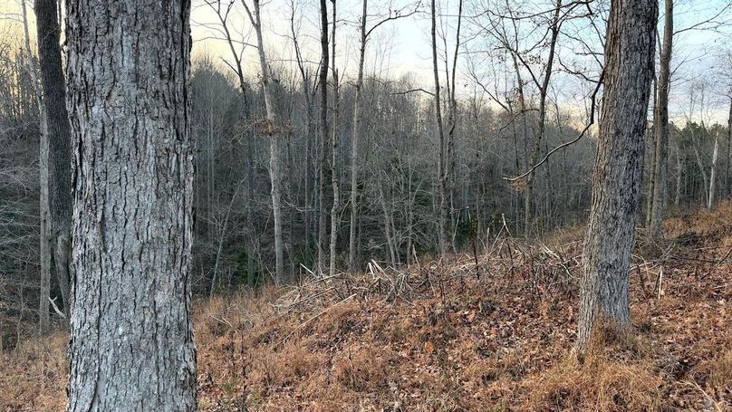 Grayson 48.195 Johnson13