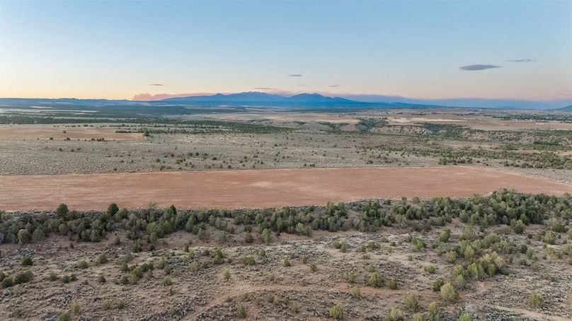 DJI_0401_1