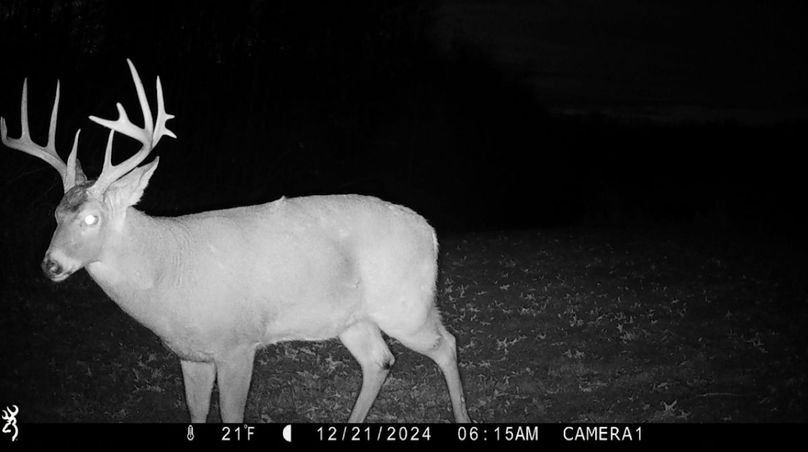 Trail Cam Pic 8
