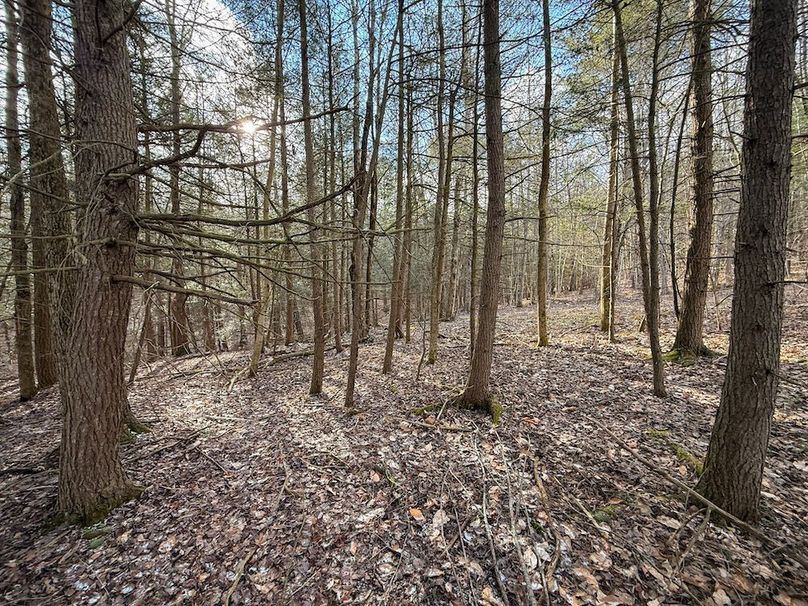 Chemung_59.65_Kocsis_photos_23