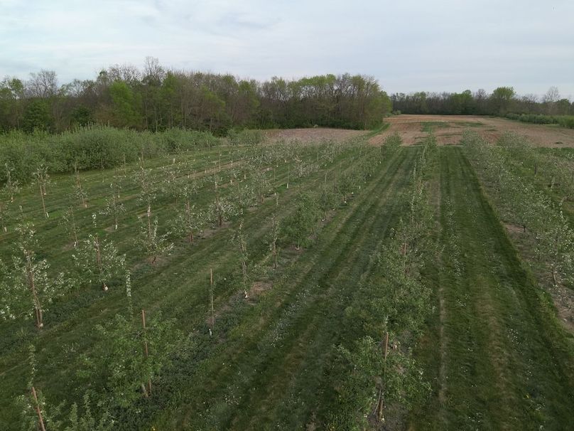 DJI_20260417194946_0015_W