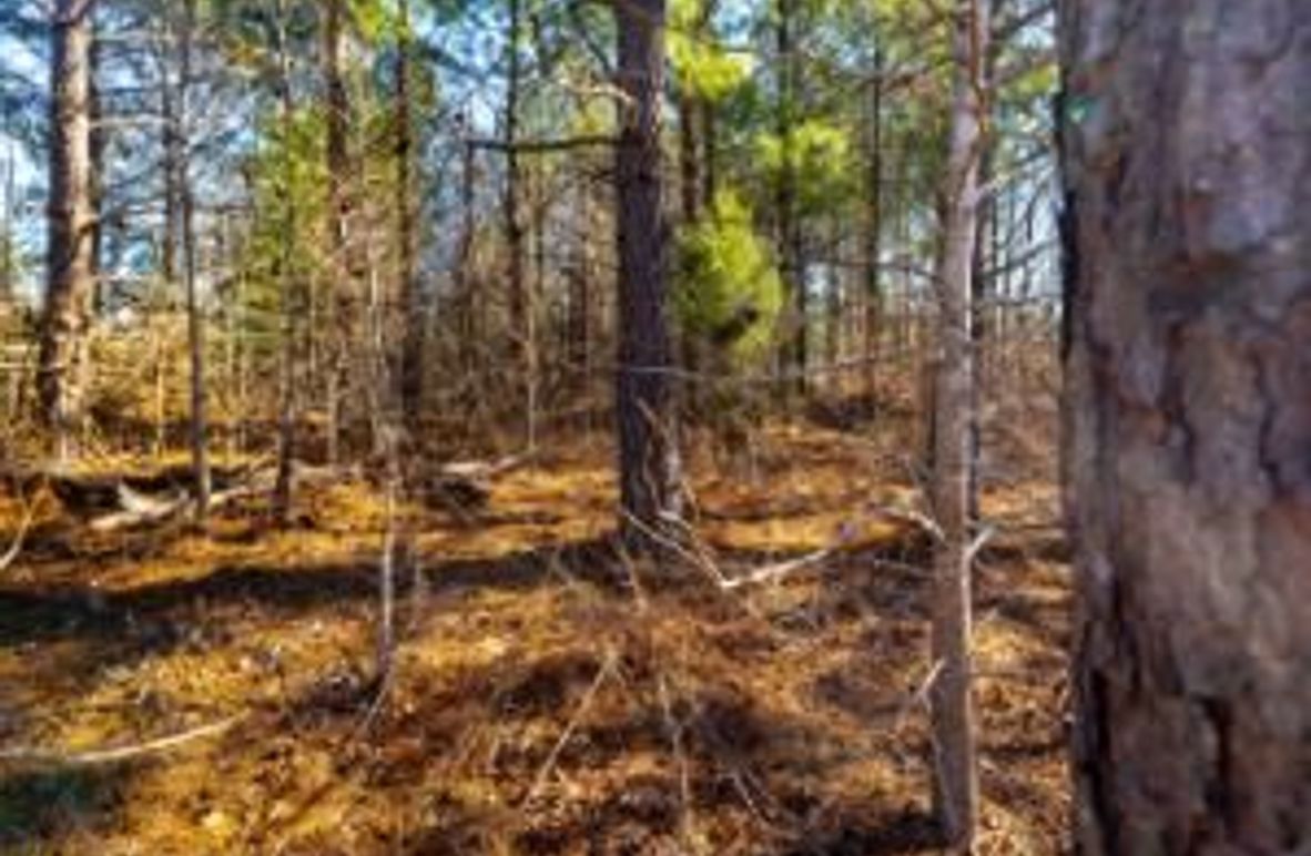 MCKINNON TRACT 29-04