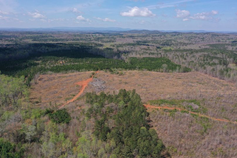 Copy of 400ftCardinal-1