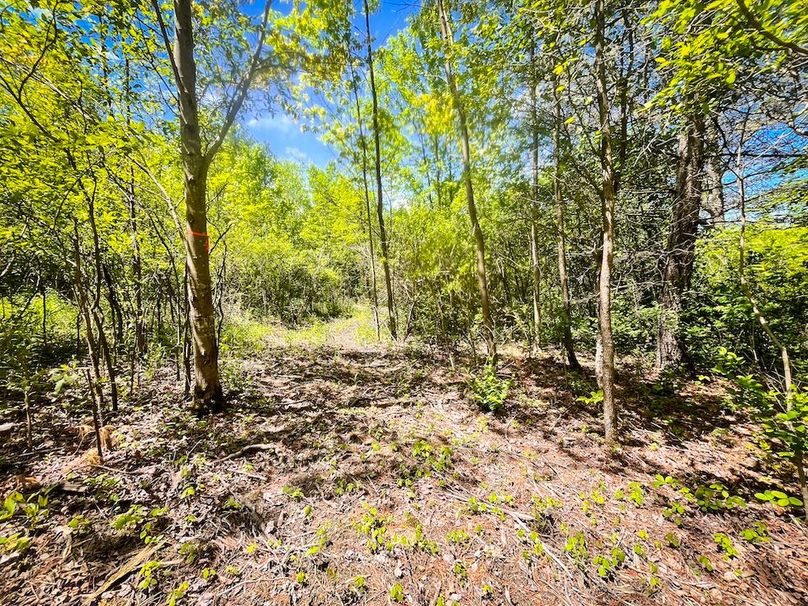 Tioga_28.322_VanNordstrand_Photos_39